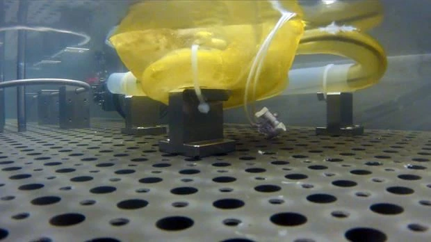 The role of underwater robot in the installation of the catheter rack